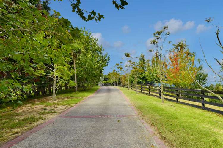 50 Wright Road Dairy Flat_1