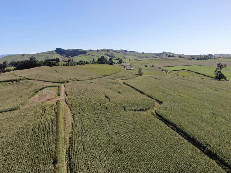 1375 State Highway 3 Otorohanga_7