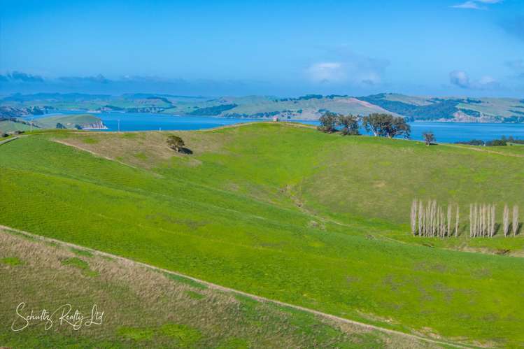 Massey Road Maungaturoto_37