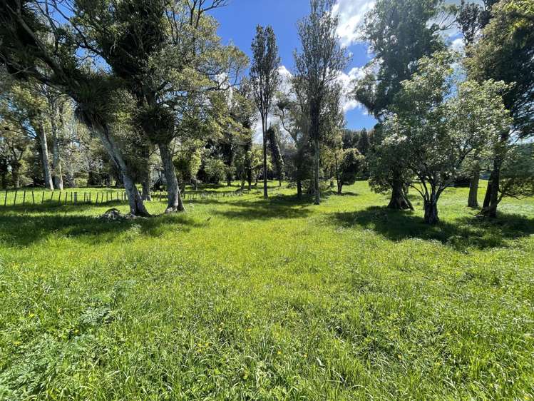 104 Tapuae Road Honikiwi_12