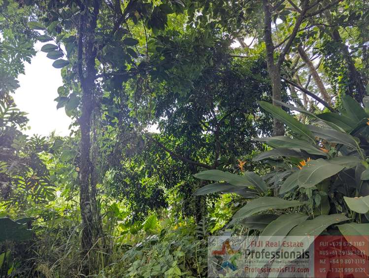 Address withheld Taveuni_9