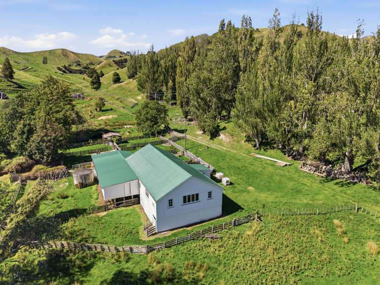 519 Tiriraukawa Road Taihape_19