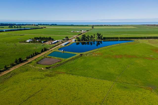 361 Poplar Road Ashburton_4