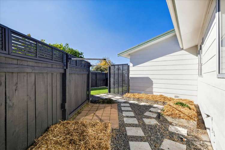 7 Collingwood Street Judea_19