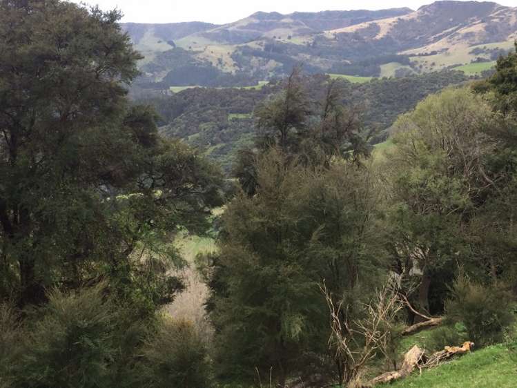 72b Aylmers Valley Road Akaroa_5