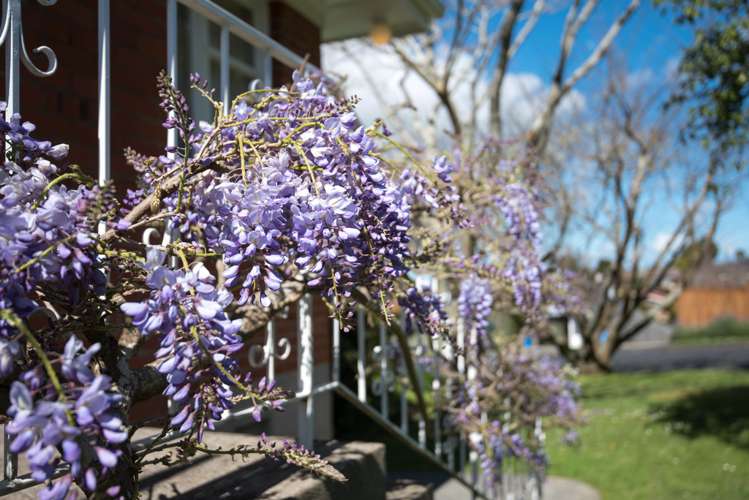 26 Andrew Road Howick_16