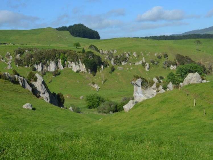 1035 Bayley Road Wharepuhunga_12