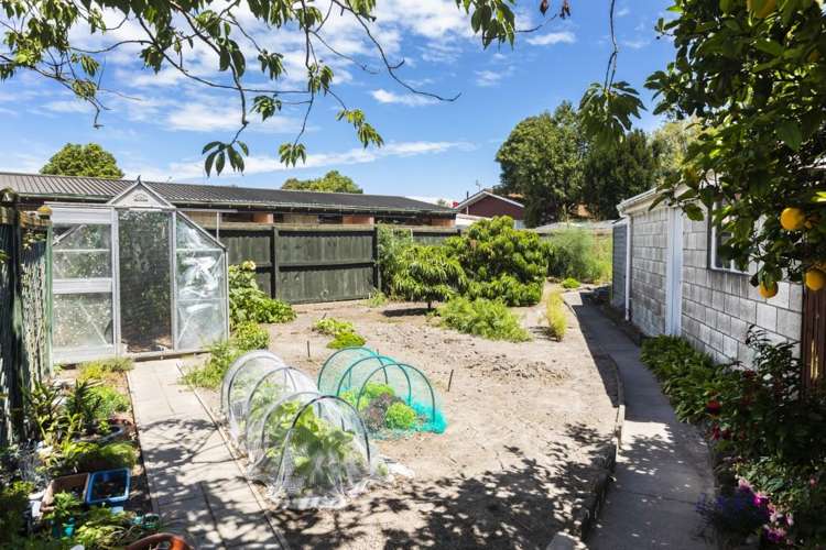 1 Aileen Place Upper Riccarton_13