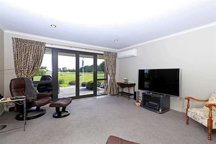 67a Davison Road Newstead_10