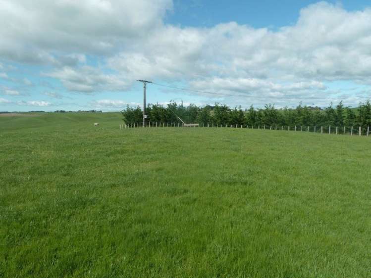 165 Whakapirau Road Maungaturoto_6