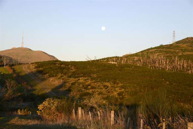 358 & 358E Worsleys Road Cashmere_4