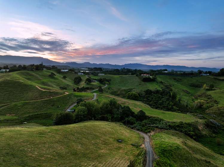 371 Esdaile Road Whakamarama_10