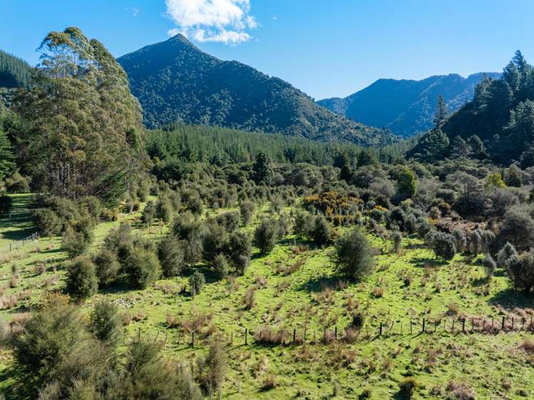 Lots 3 4 5 Nydia Bay Marlborough Sounds_33