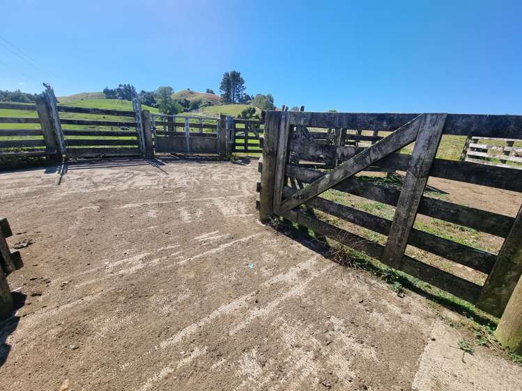 Paekaka Road Piopio_9