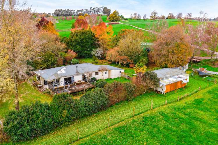 124 Deep Creek Road Reporoa and Surrounds_22