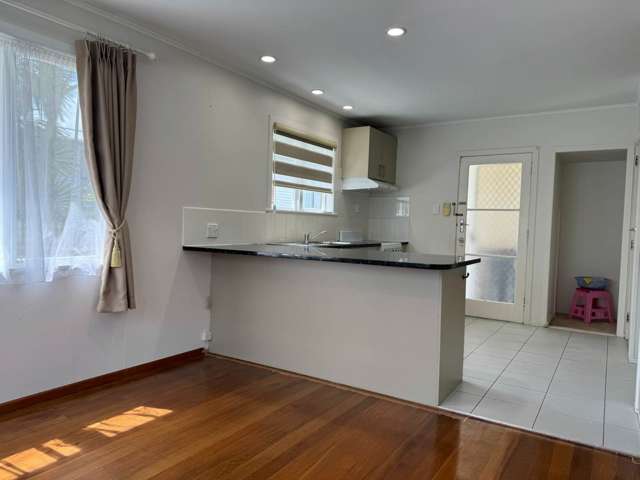 94 Webster Avenue Mt Roskill_1