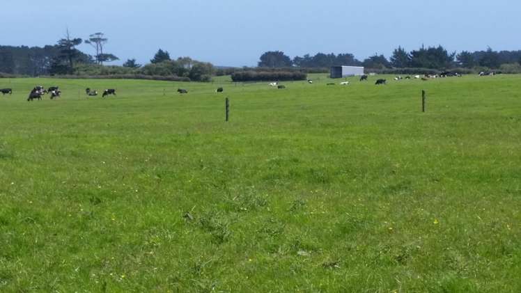 2369 Eltham Road Opunake_9