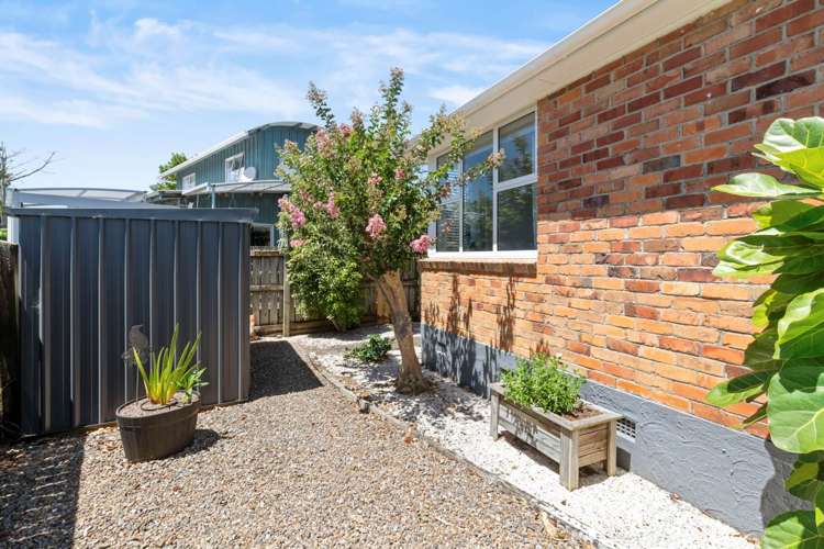 6 Pirangi Street Point England_15