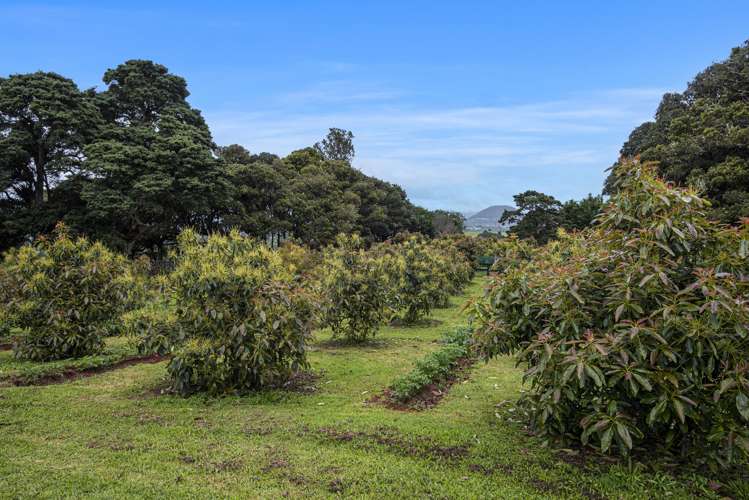 747a State Highway 14 Maunu_19