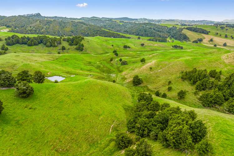 119 Page Road Ruawai_13