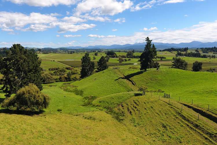 100 Tarrant Road Upper Moutere_18