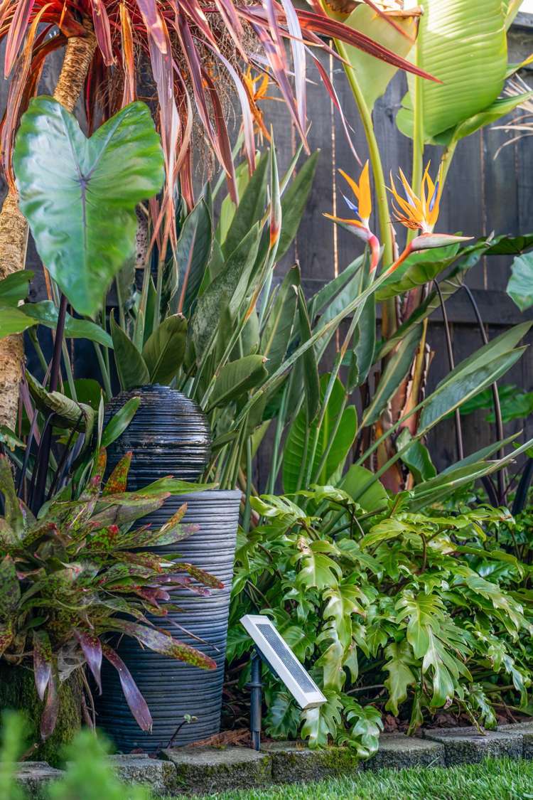 19 Papa Orchard Drive Kumeu_8