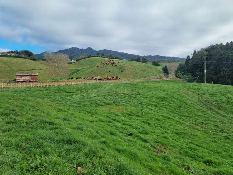 474 O'Shea Road Pirongia_13