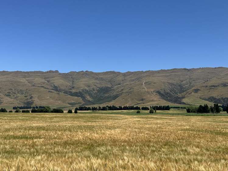 626 Gladbrook Road Middlemarch_24