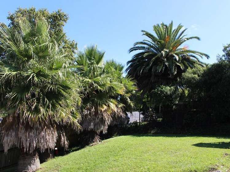 6 Station Road Pukekohe_5