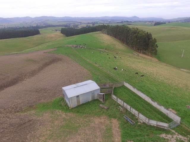 308 Taieri Peak Road Palmerston_2