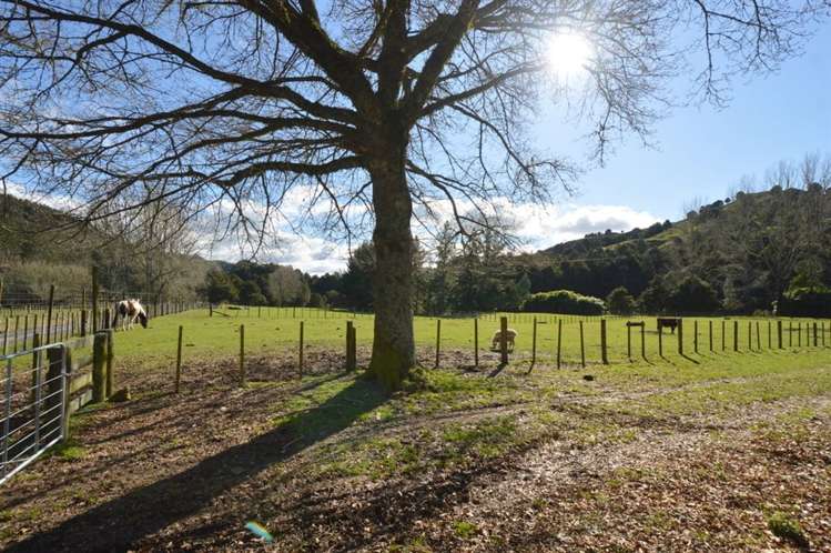 1513 Hikumutu Road Taumarunui_18