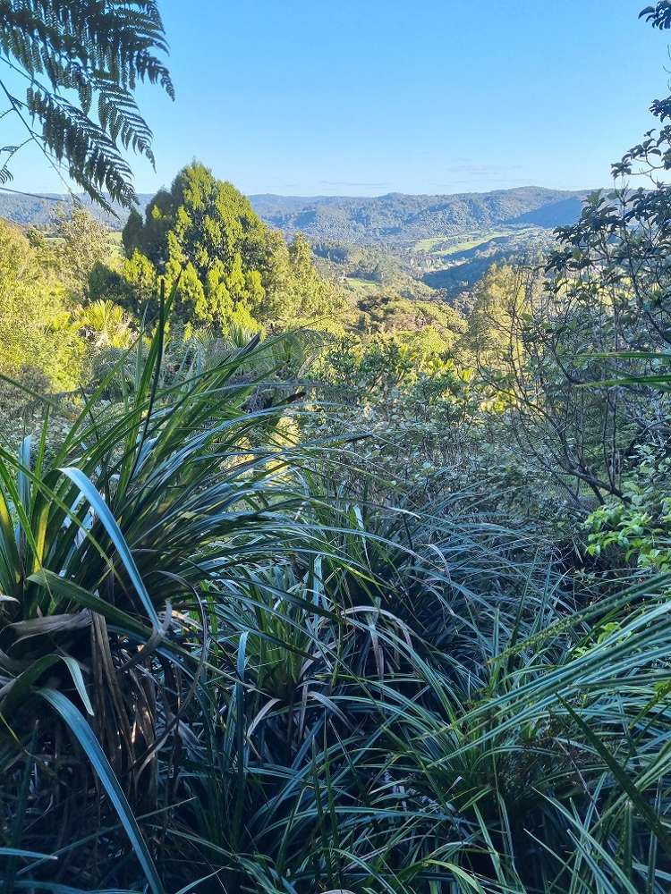 305 Wairere Road Waitakere_8