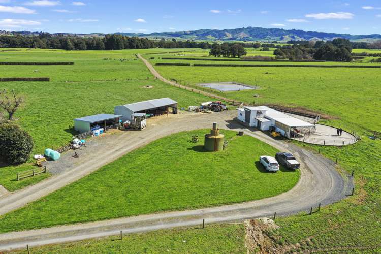 711 Horrell Road Morrinsville_3