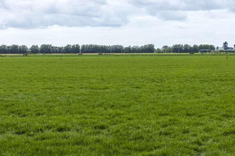 Stranges Road Ashburton_5