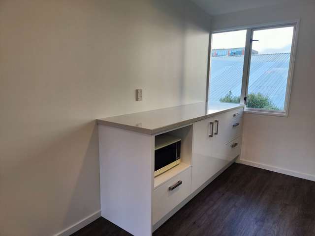 3 Kelvin Grove Te Aro_4