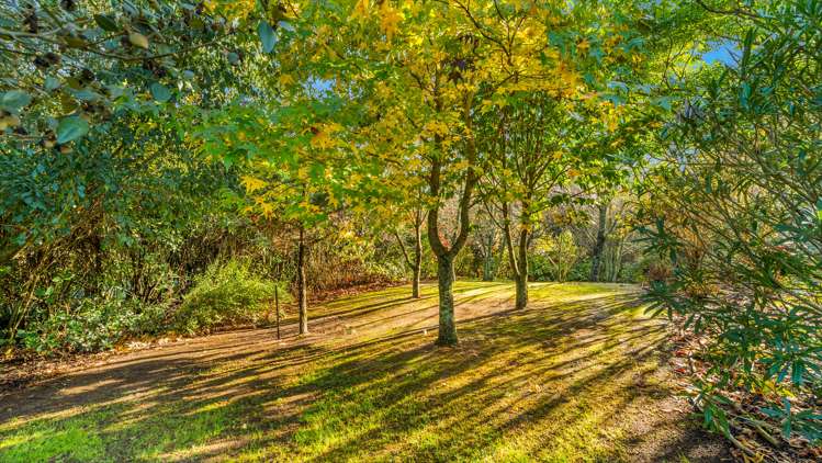 82 Highbrook Way Whatawhata_13