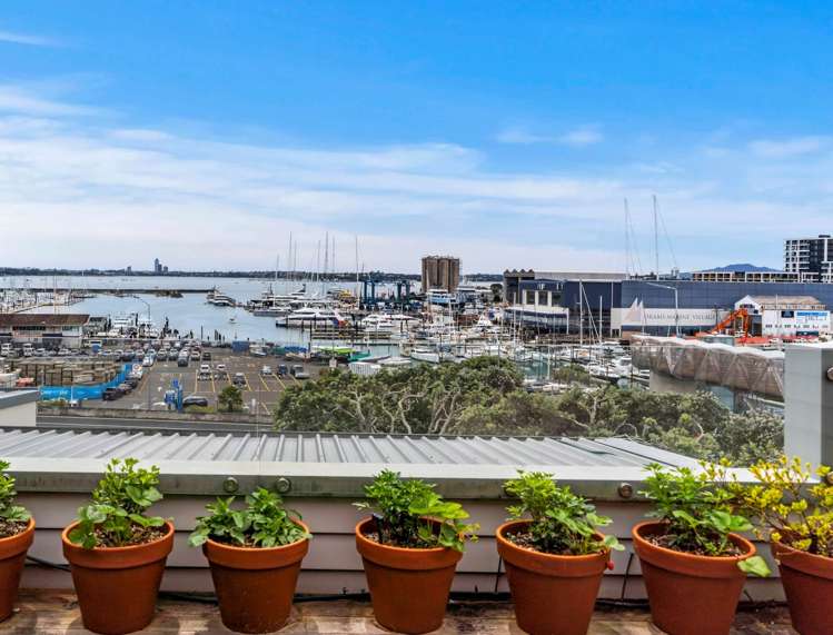 10a Harbour Street Saint Marys Bay_12