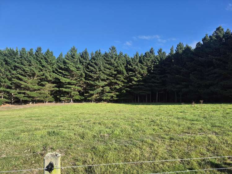 4894 Hampden-Palmerston Road Palmerston_37