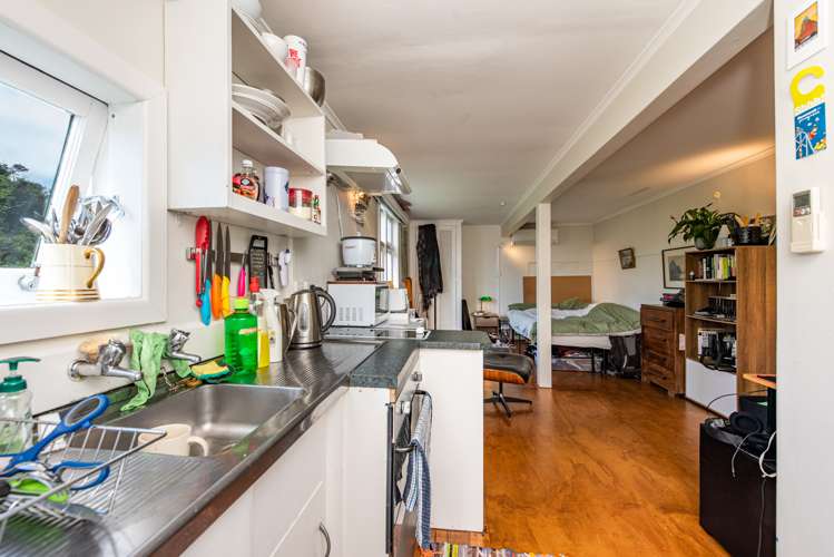 11 Mount Pleasant Road Aro Valley_15