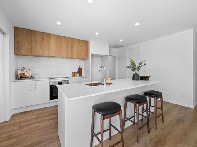 15 Orwell Way Hampstead_1
