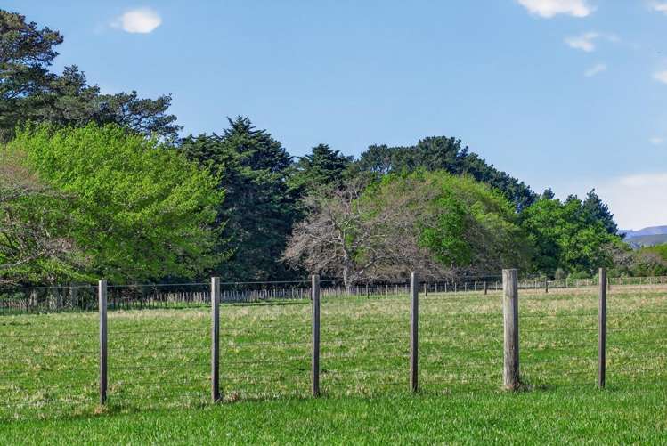 2 / 36A Spencer Lane Greytown_9