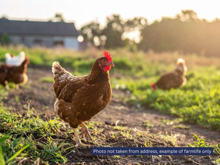 157 Newman Road Stillwater_7