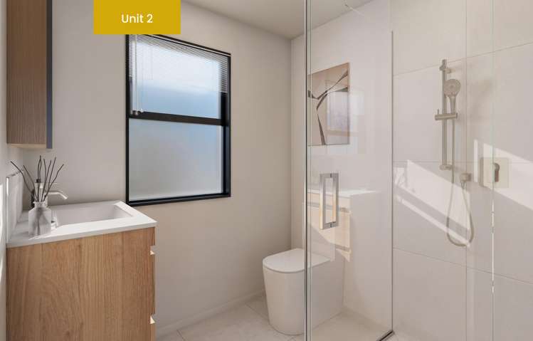 169 Selwyn Street Somerfield_8