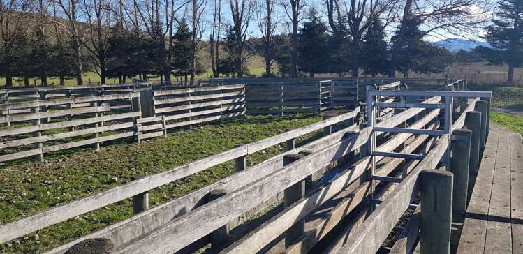 17 Esk Bank Road Otaio_12