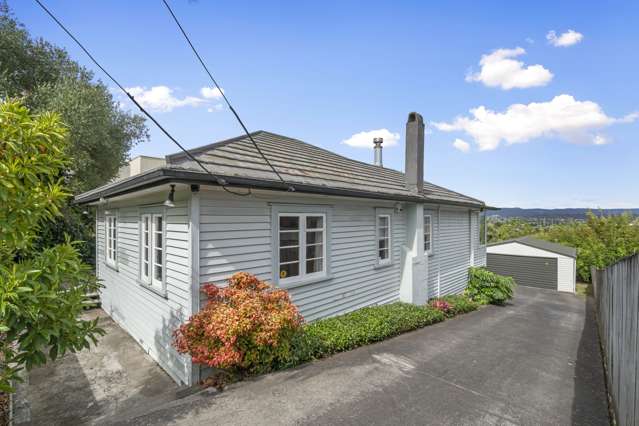 175 Blockhouse Bay Road Avondale_3