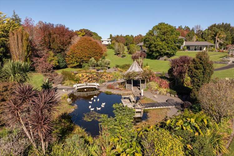 115 Tuapiro Road Tahawai_20