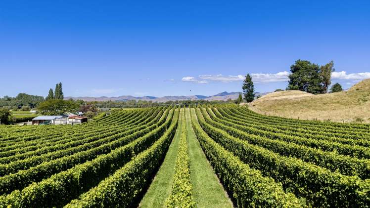 1224 Kaituna-Tuamarina Road Kaituna_18