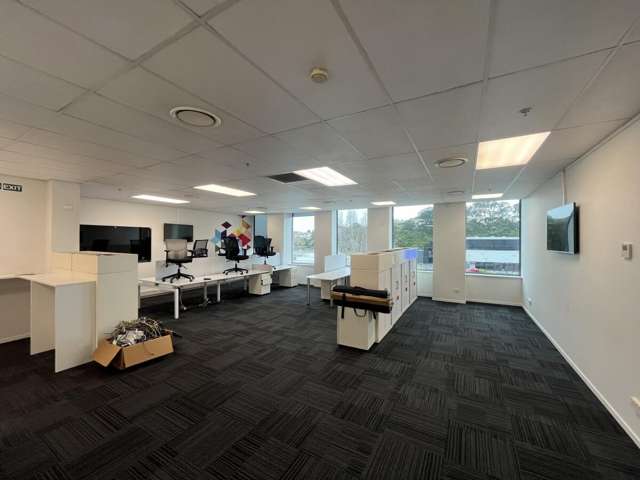 18 Normanby Road Mount Eden_4