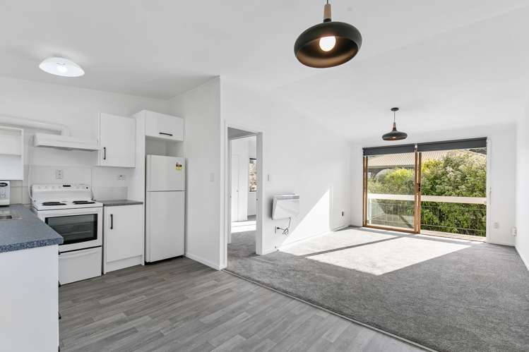 1/30 Ascot Avenue Remuera_5