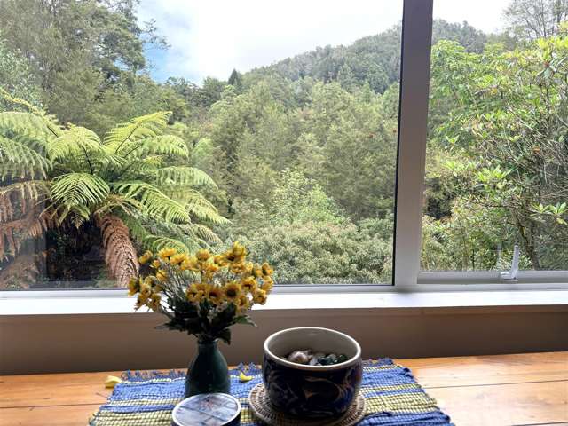 295 Roa Road Blackball_4